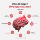 Hypogonadism and Hormonal Health: When Should You Suspect a Deficiency?